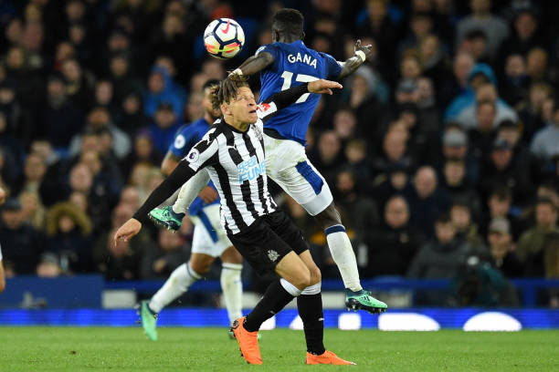 毅然选择了 毅然选择了